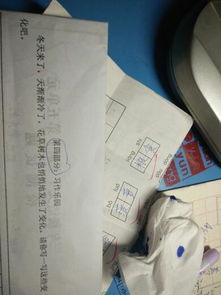 熟悉的校园的变化作文300字作文