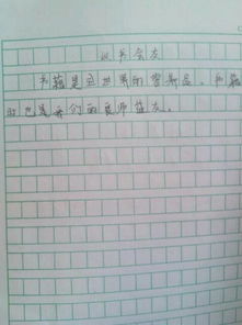 以校园为主题的作文500字,以校园安全为主题500字作文,校园生活的作文500字