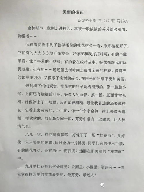 关于校园青春成长的作文