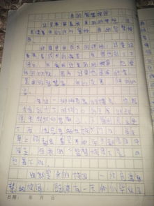我的智慧校园作文6oo