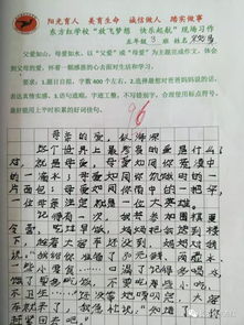 关于东方红校园的作文400字