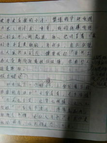 假山,作文,校园里,字左右