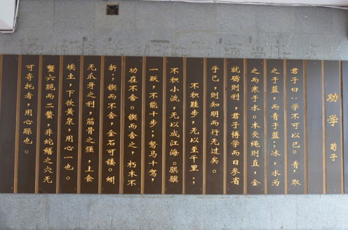 美丽校园作文移步换景350字