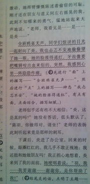 我都校园的了解作文四百字