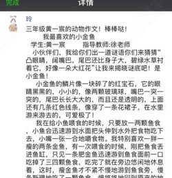 校园里的趣味作文