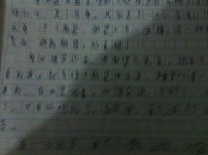 作文,写一篇,校园,百字