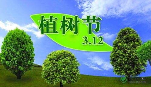 植树节,作文,校园