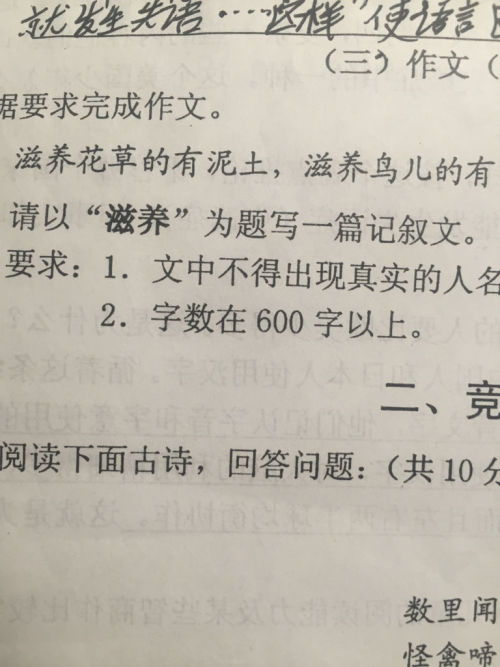 浓浓校园情600字,校园周记600字初中,我的校园600字初中