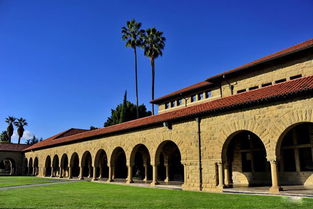 作文,大学校园,美丽