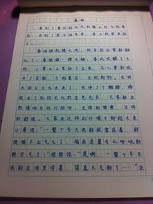 校园的夜晚400字作文600字