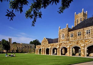 美丽的大学校园作文300字左右,校园真美丽作文300字,校园真美丽的作文400字