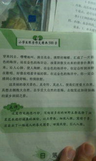 六小的风景美丽的校园作文400字左右