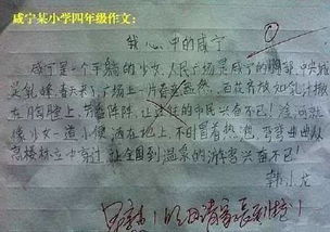 作文,小学生,校园生活