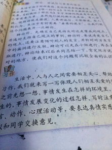 作文,校园,字初三