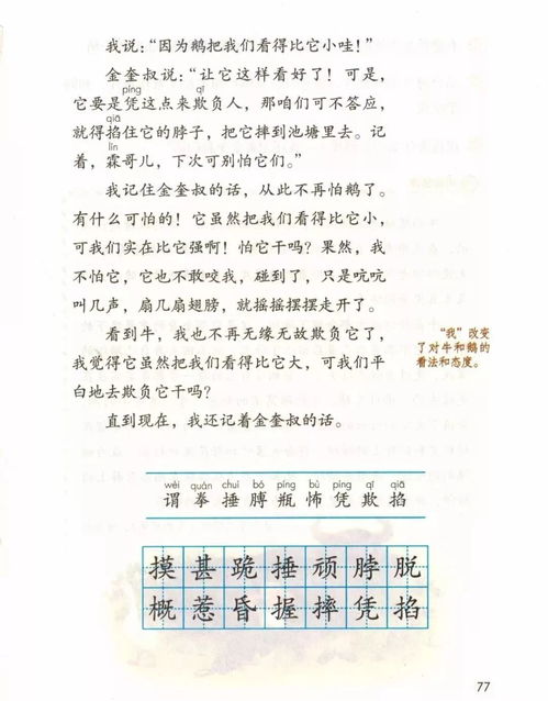 作文,四级,桃花,校园