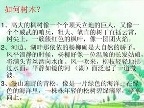 秋天校园里的一处景物作文三级