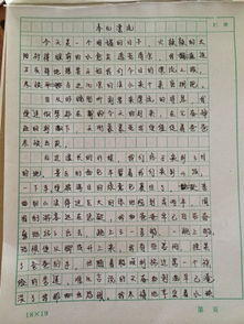 快乐的校园活动作文四百字左右作文大全