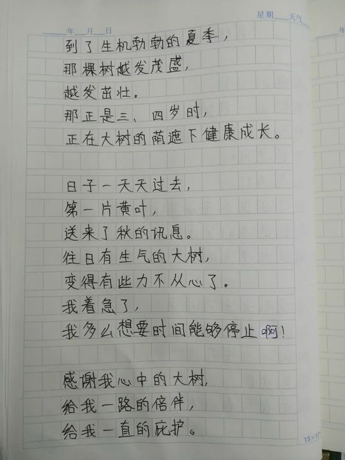 翔宇学校校园美景作文