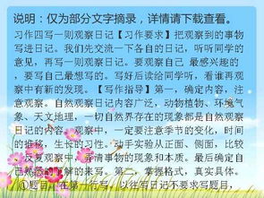 观察校园作文三级上册