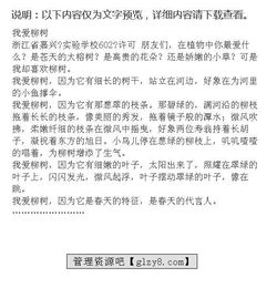 作文,柳树,初中,校园