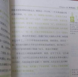 校园冬天的景色作文300字,校园的一处景色作文300字,校园花坛的景色作文300字