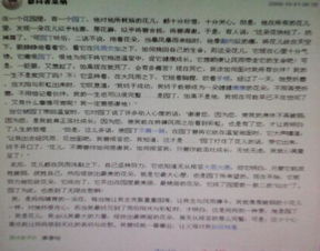 作文,的花,个字,校园