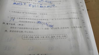 校园里最开心的事情作文600字作文怎么写