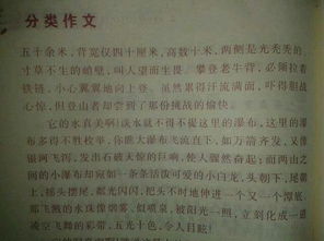 初二作文校园景色200字,按一定顺序和多角度写,写校园景色的作文200字,秋天写景作文200字