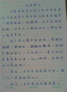 作文,四级,植物,美丽