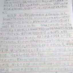 诚信校园的作文1000字