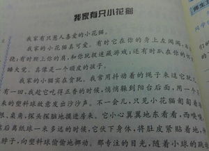 用总分总结构写校园一角作文