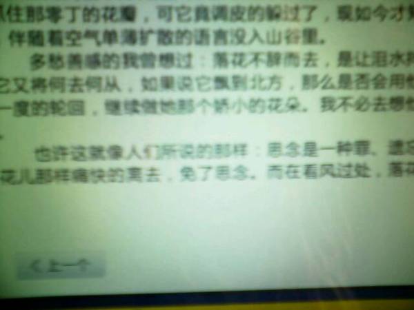 校园作文800字初三青岛市