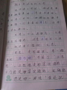 介绍校园的作文四百字左右