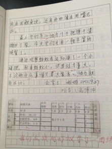 观察校园作文400字