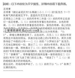 足球比赛作文校园四级作文400字