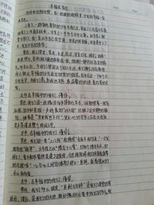 校园作文600字小学生作文