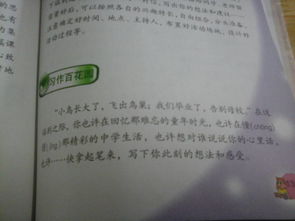小学阳光校园作文800字