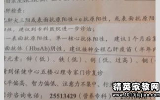作文,调查,校园