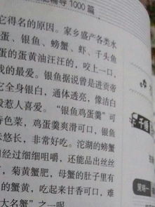 美丽的校园游览顺序300字作文