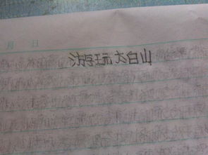 我们的校园270个字作文