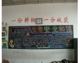 关于法制校园的作文1000