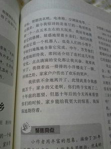 作文,未来,校园