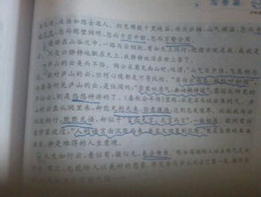 你写一篇校园的风景的作文150字左右