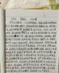 作文,财产,大学生,校园