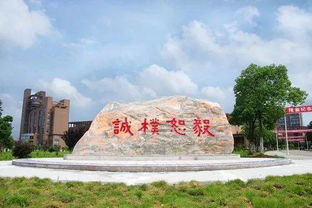 文明和谐美丽校园作文