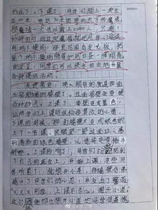 校园里的童的作文600字作文大全