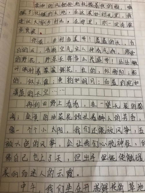 作文,四级,下册,校园里