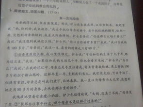 校园寻秋的的短文不是作文