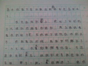 作文,课堂,校园