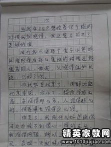 同学们在校园里做什么作文